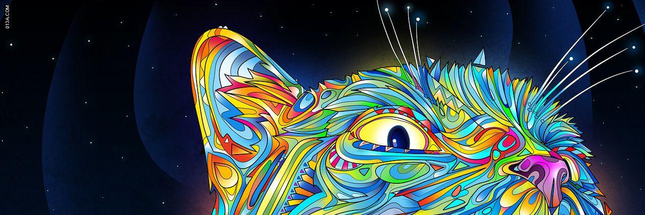 RochinhaZ's profile banner image