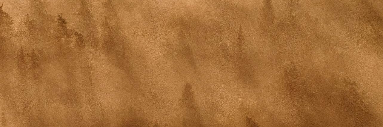 L367AN's profile banner image