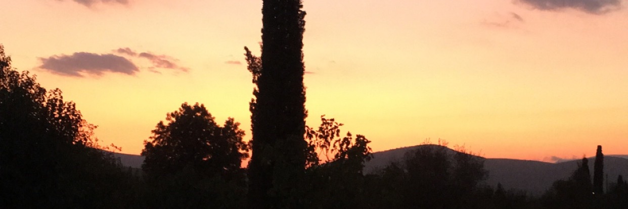 irinipetros's profile banner image