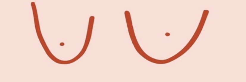 natasha_orsi's profile banner image