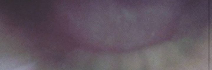 Meeaw__'s profile banner image