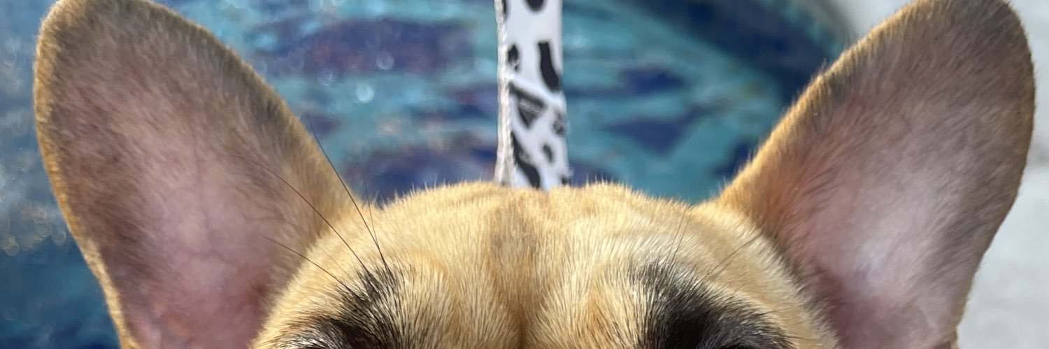 xomonse's profile banner image
