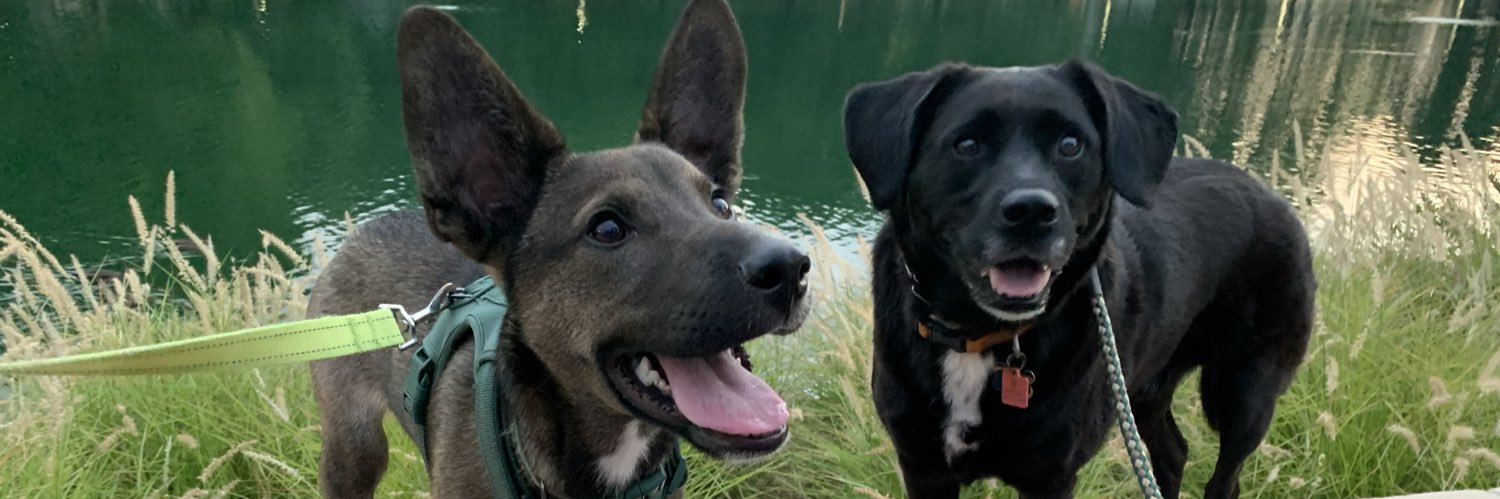 jillysarm's profile banner image