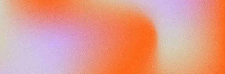 Dorsa Amir's banner