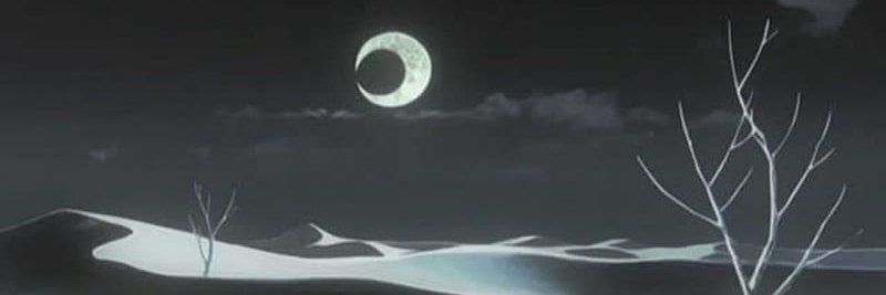 ⋆⁺‧₊☽🐅 ѕρσσку ραιи 🐅 ☾₊‧⁺⋆ banner