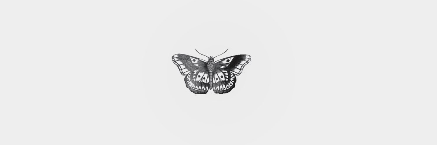 stheaggie's profile banner image