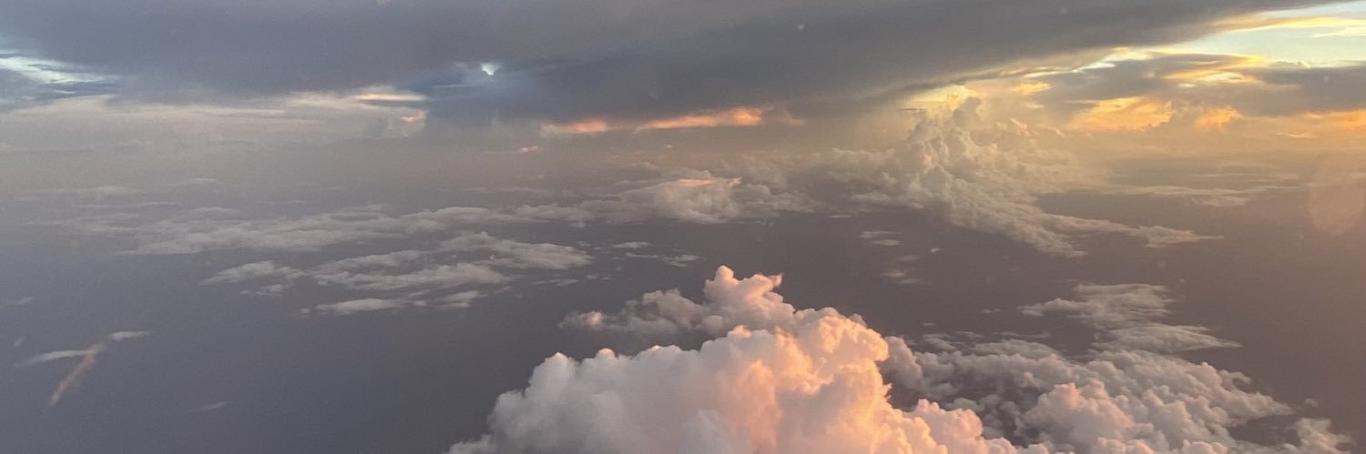 dianamathan's profile banner image