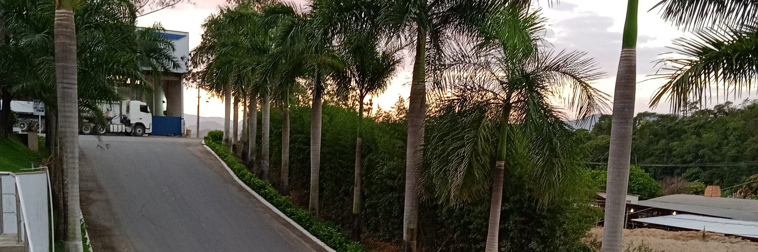 willson_moura's profile banner image