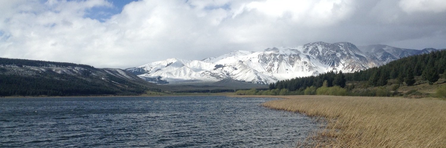 MenterPatagonia's profile banner image