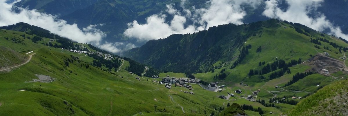 Michał Stiller banner