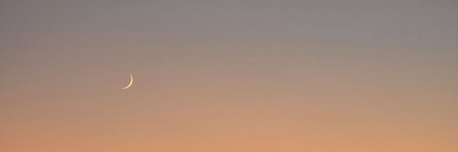 katlesskate's profile banner image