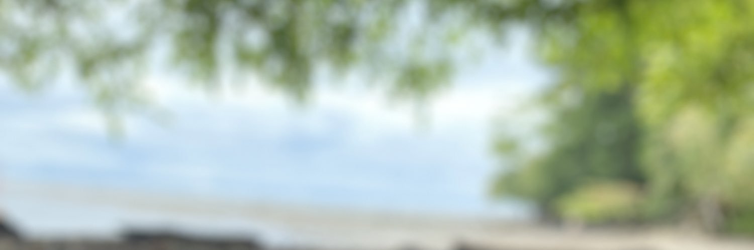 guaimacr's profile banner image
