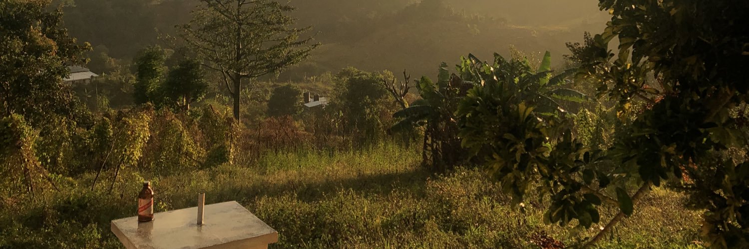 Regiiinee's profile banner image