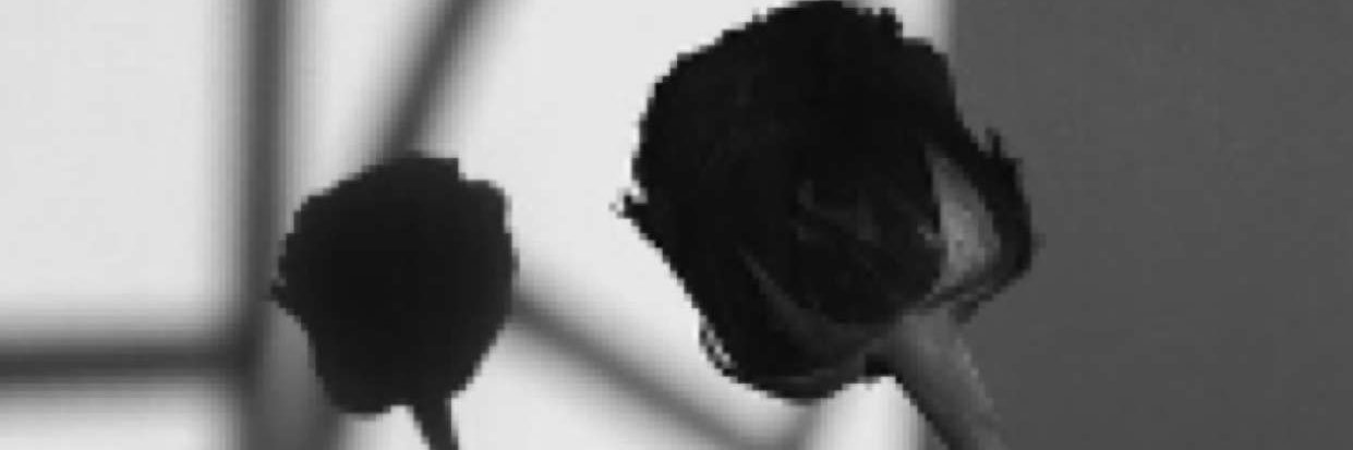 200Rooo's profile banner image