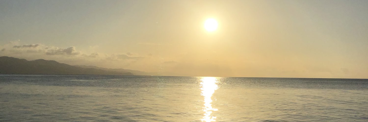 L_melhem's profile banner image