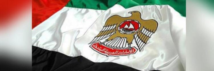 falmaskari's profile banner image