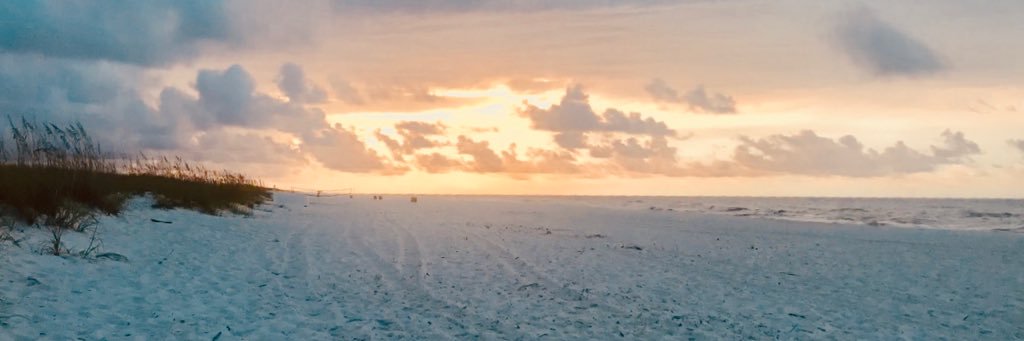 CharlesCastro10's profile banner image