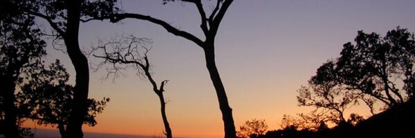 mahendradatta Profile Banner