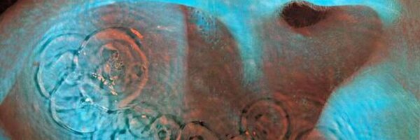 vratko Profile Banner
