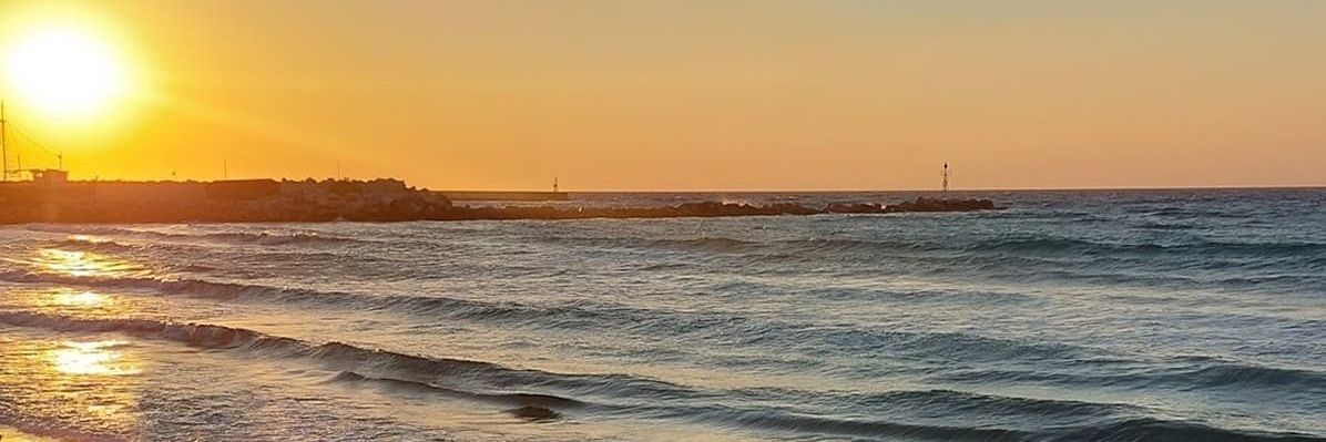 _ellou_'s profile banner image