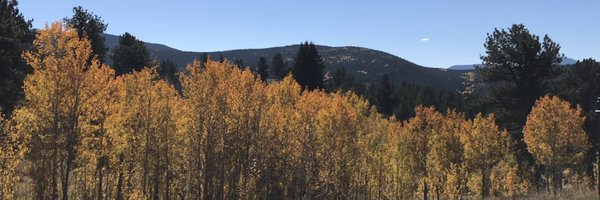 sciliator Profile Banner