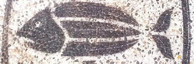 GenesisDCarmen's profile banner image