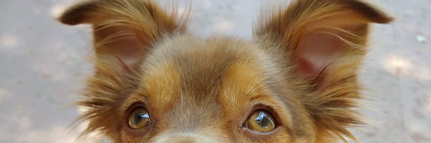 marvingarciaf8's profile banner image