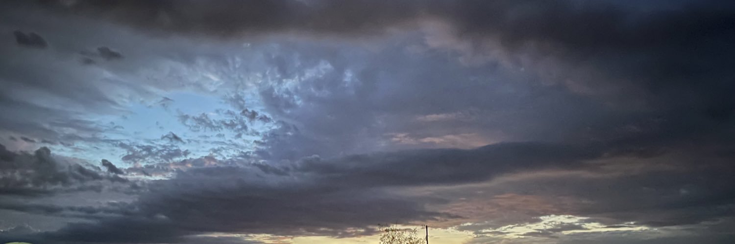 SlobVila's profile banner image