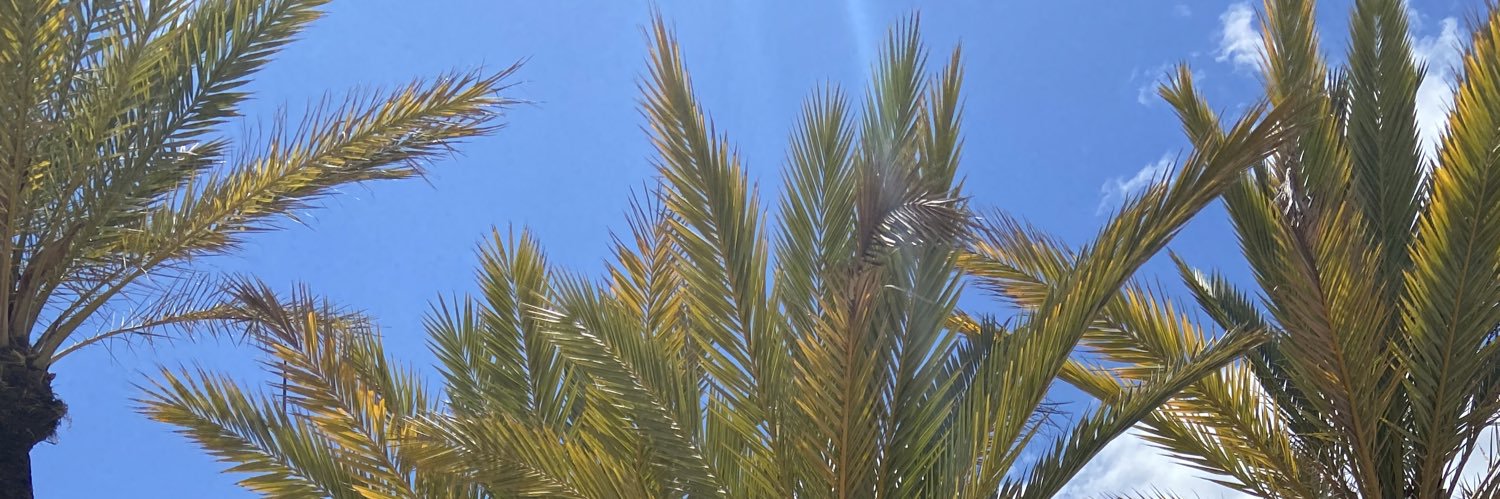 sarahogbourne's profile banner image
