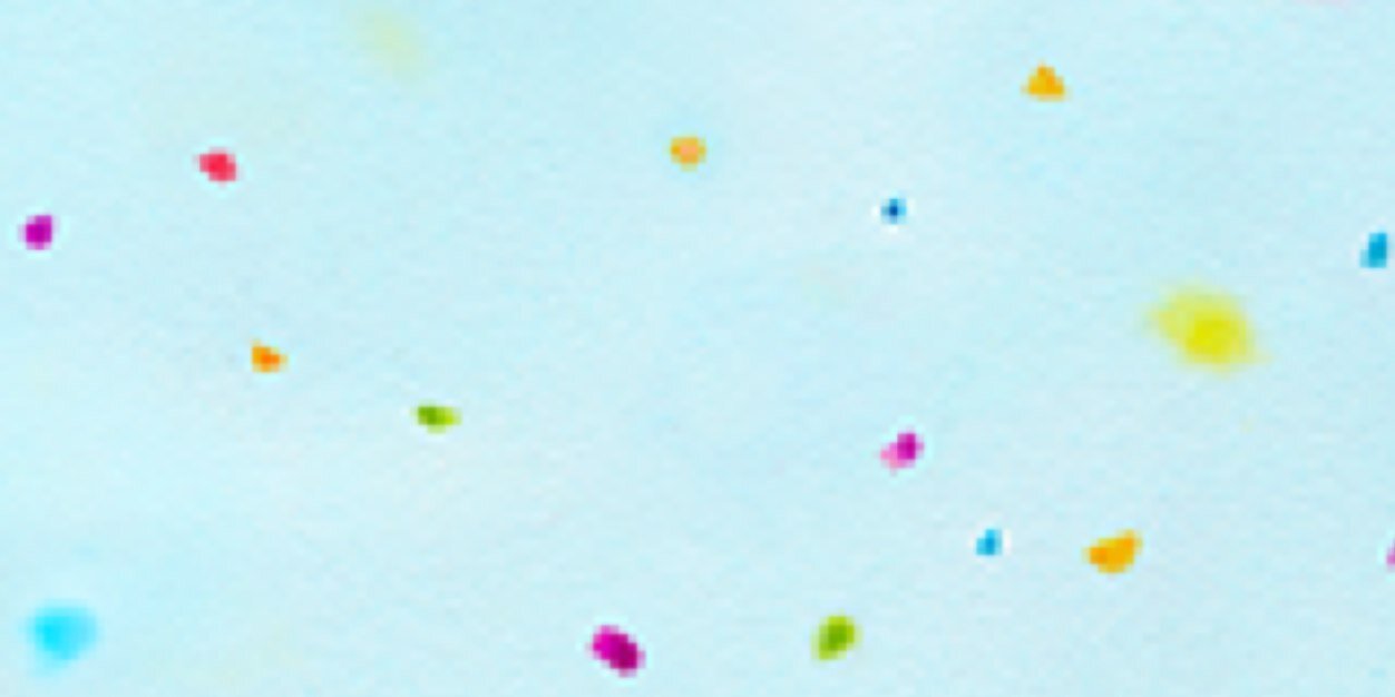 Hannah Ranieri banner