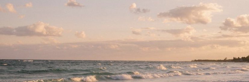 RachelSchlicht's profile banner image