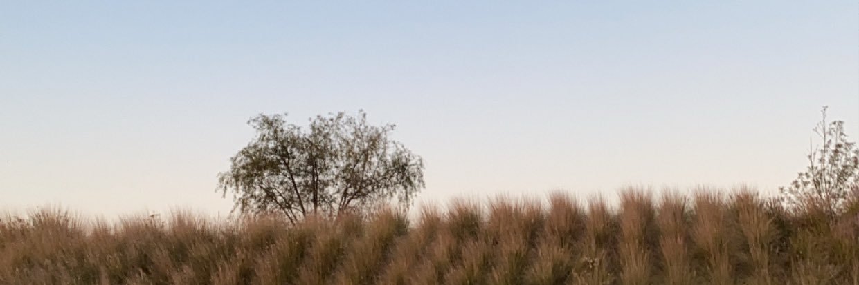 vale_sanchez19's profile banner image