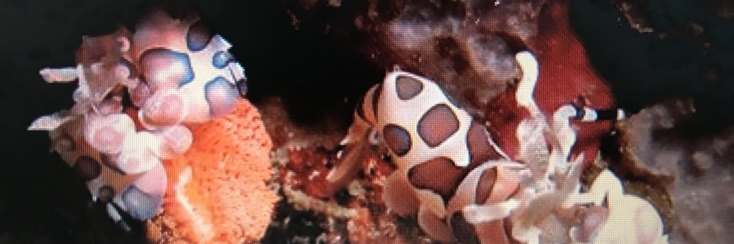 ひいろ✩゛ banner