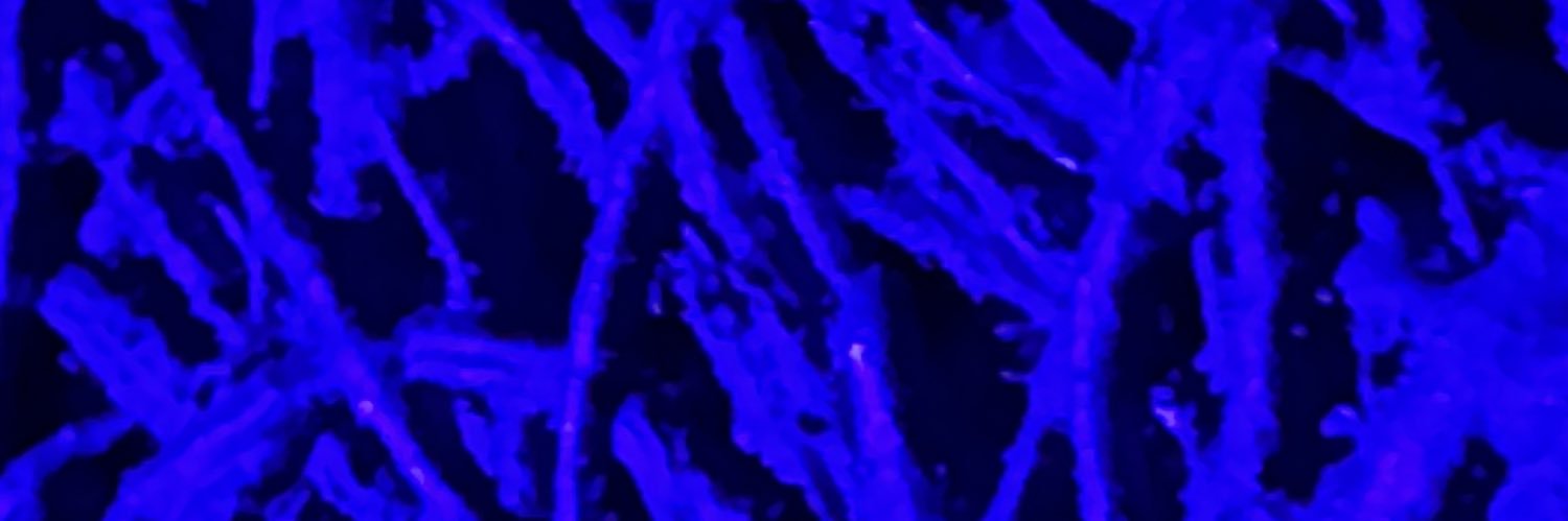 _its_fine__'s profile banner image