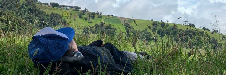 luisdiegop94's profile banner image