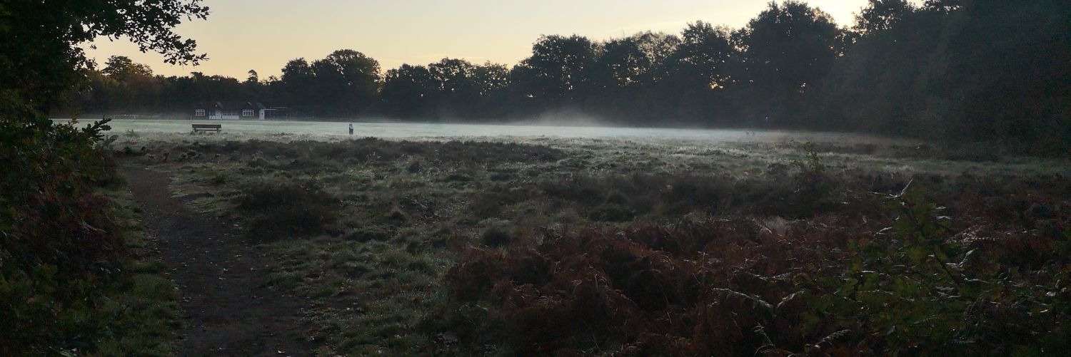 RoryTBailey's profile banner image