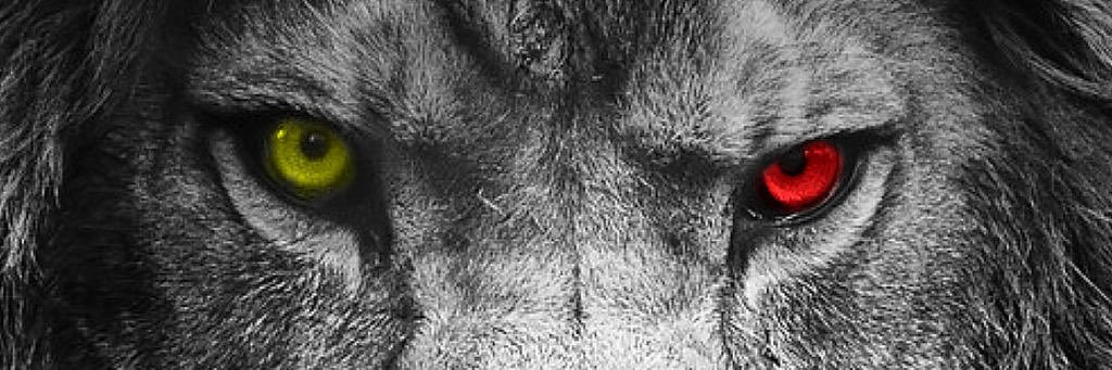 viper131214's profile banner image