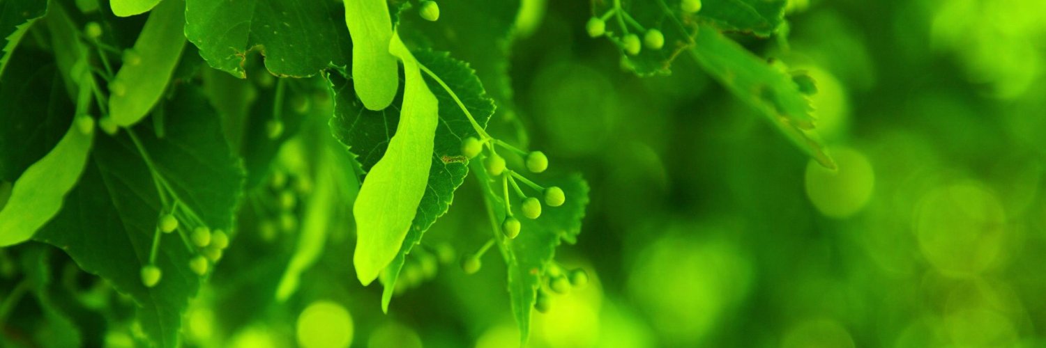 人在温哥华 | Vancouverite banner