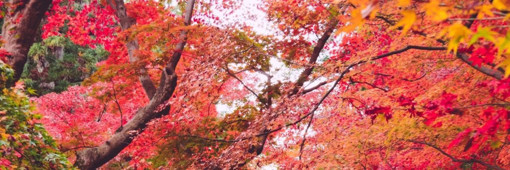 _fineassdeja's profile banner image