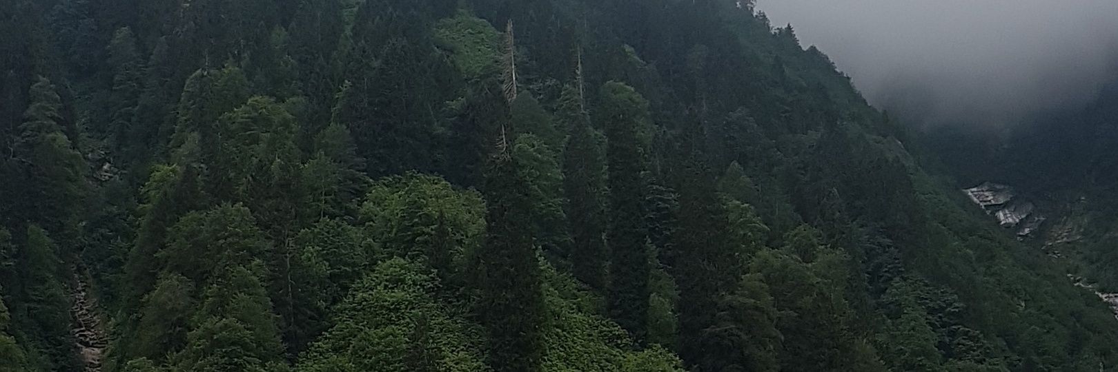 aa8808's profile banner image