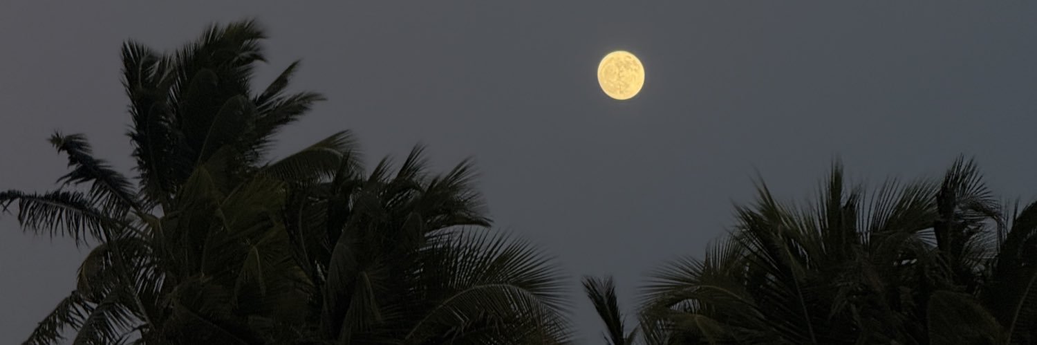 Luis 🇵🇷 banner