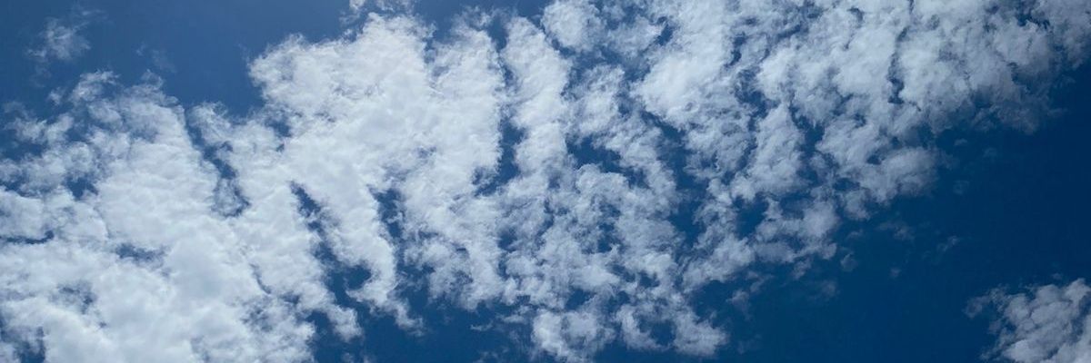 Katherin Yamuca banner