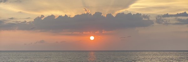 cjwat Profile Banner