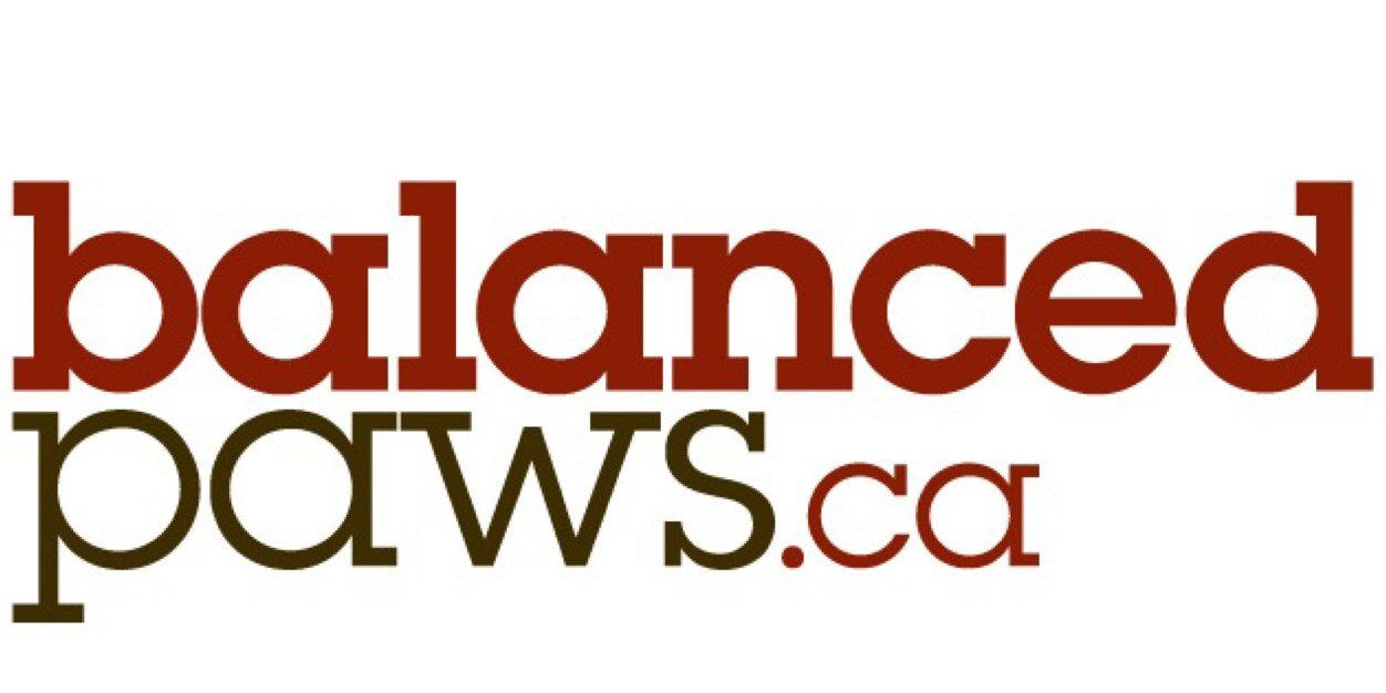 balancedpaws's profile banner image