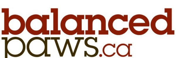 balancedpaws Profile Banner