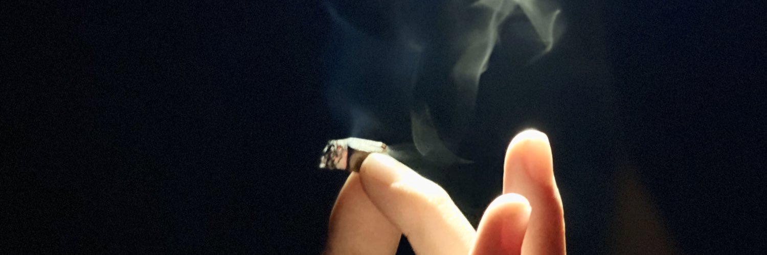 MorganKelley16's profile banner image