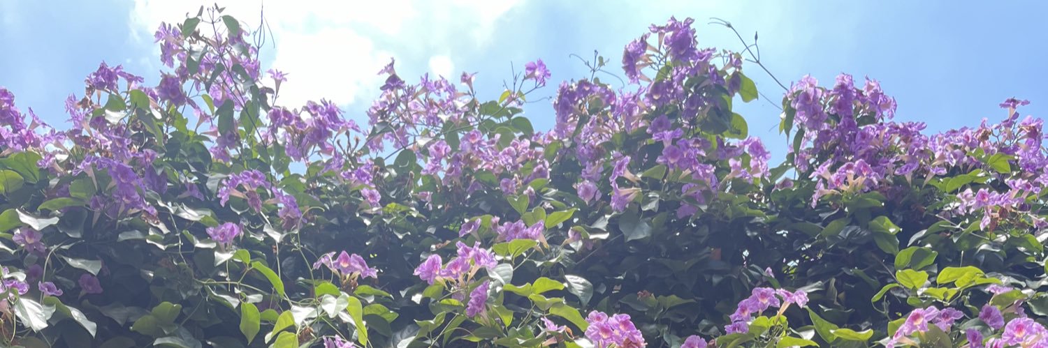 IvannaVGO's profile banner image