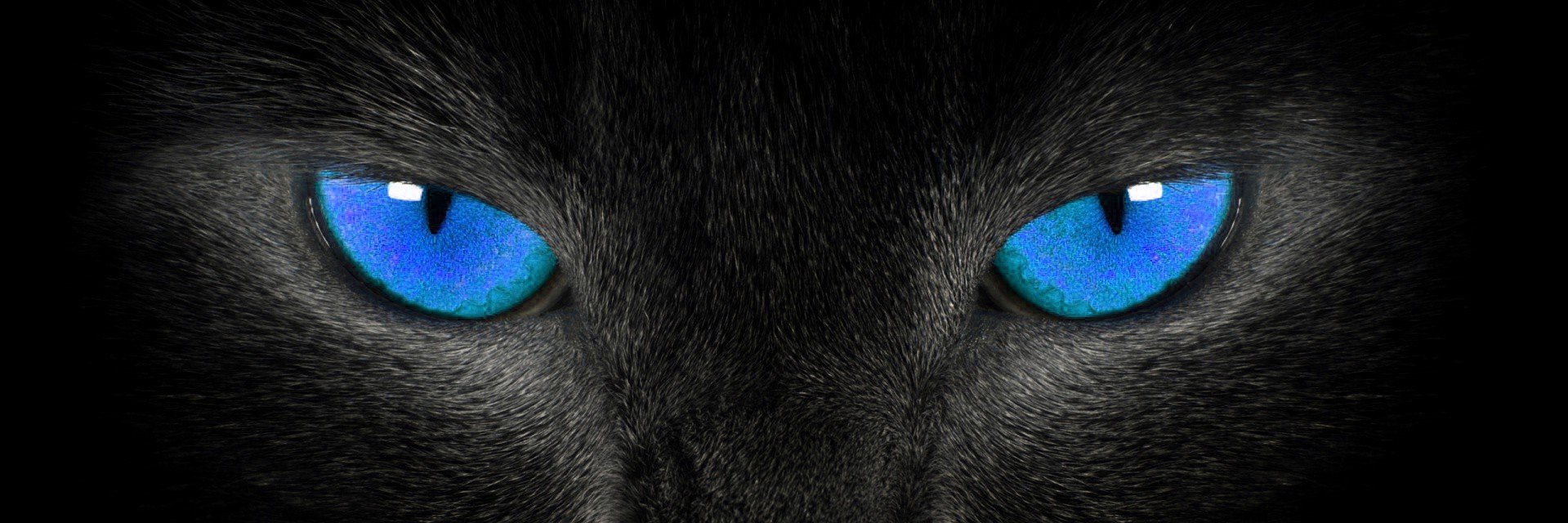 K0uken banner