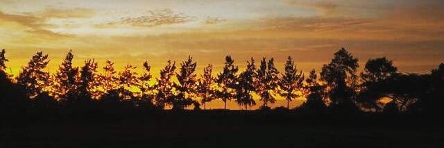 sebasgp1108's profile banner image