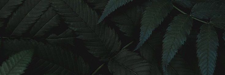 theishaw's profile banner image